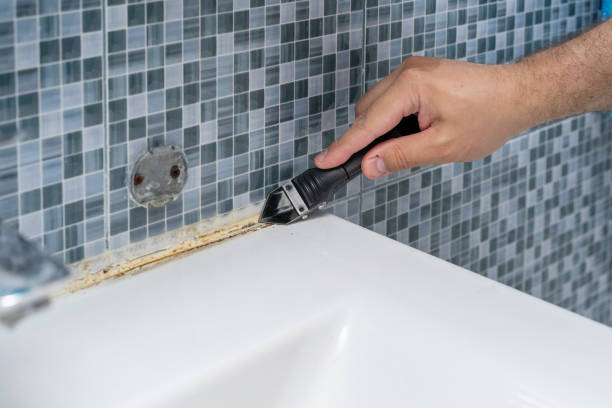 Best Emergency Mold Removal  in Eden Isle, LA
